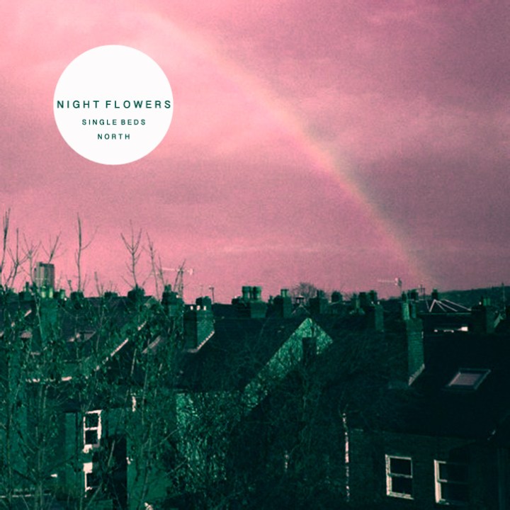 nightflowers2