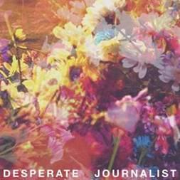 desperate_journalist