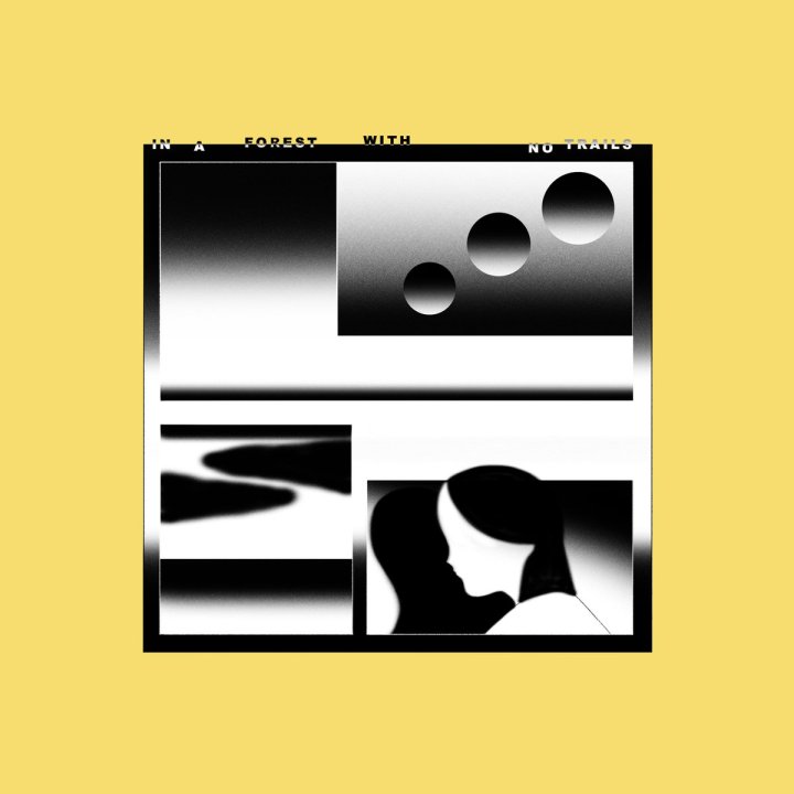 Terry vs. Toribraille